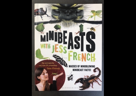 Children's Insects : Minibeasts With Jess French