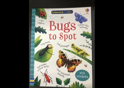Children: Bugs to spot- Includes Stickers