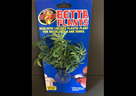 PLASTIC SUCTION PLANT: PAPAYA