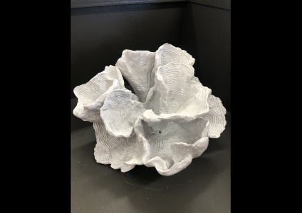 CORAL RESIN - 15CM HEIGHT X 29CM WIDTH