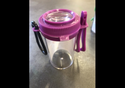 Mini Magnifying Bug Jar - PURPLE