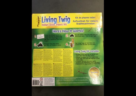 Living Twig- Indian Stick Insect Kit