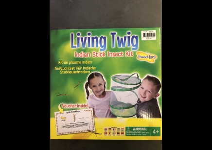 Living Twig- Indian Stick Insect Kit