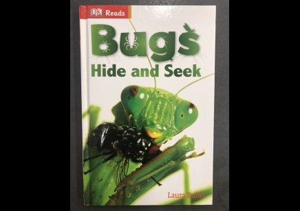 Children: Bugs Hide & Seek