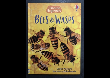 Children: Bees & Wasps