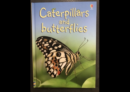Children: Caterpillars and Butterflies