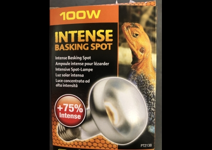 100 watt Intense Basking spot