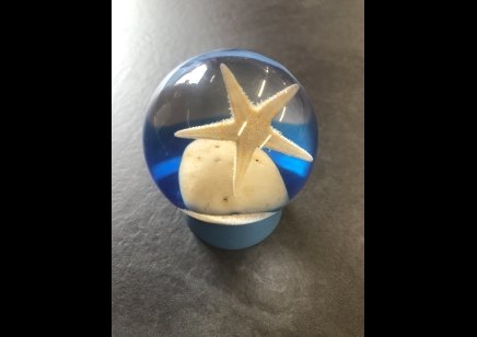 Paperweight Globe Mini- Starfish in a Solid resin  on a plastic base