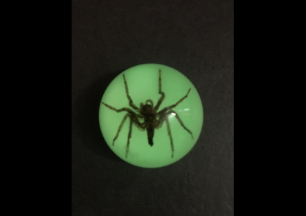 Fridge Magnet- Spider ( Glow in the dark )
