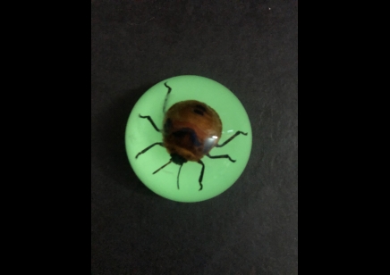 Fridge Magnet- Orange Beetle ( Glow in the dark )