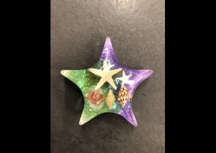Fridge Magnet- Star shape with sea shells and starfish