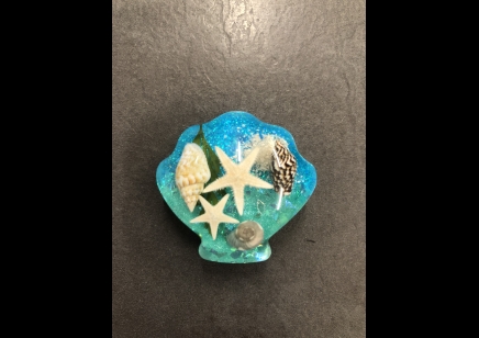 Fridge magnet- Shell shape with sea shells & starfish