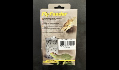 Fly Feeder For Use With Flying Insects