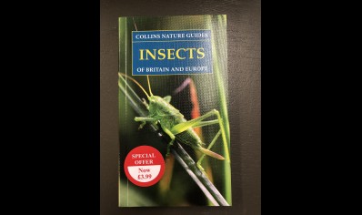Insects: COLLINS NATURE GUIDES-  of Britain and Europe