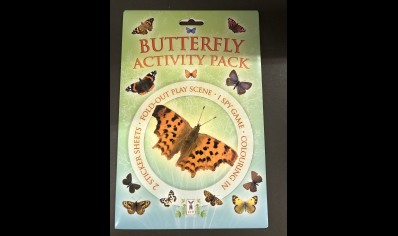 Children: Butterfly Activity Pack- Fold out Play Scene- Stickers & Colouring