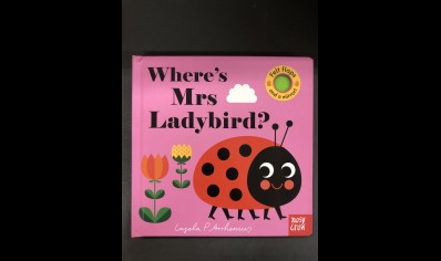 Children: Where's Mrs Ladybird? felt flaps and mirror book