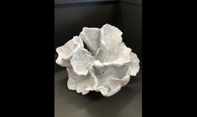 CORAL RESIN - 15CM HEIGHT X 29CM WIDTH