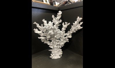 LACE CORAL RESIN