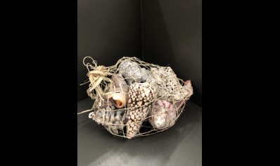 NATURAL  SHELLS IN STRING NETTING 350G