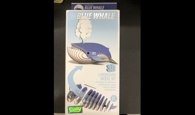  Eugy: 3D Cardboard Model Kit Whale (6yrs plus)