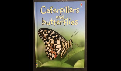 Children: Caterpillars and Butterflies
