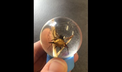 Paperweight Globe Mini - Spider in a Solid resin  on a plastic base