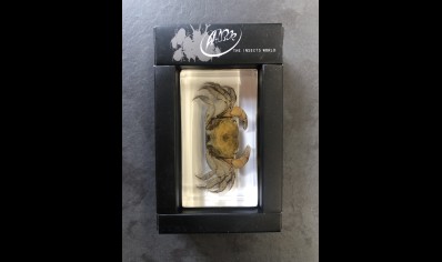 Paperweight Small - Crab in resin Rectangle