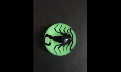 Fridge Magnet- Black Scorpion- (Glow in the dark)