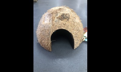 Coconut Shell Hide