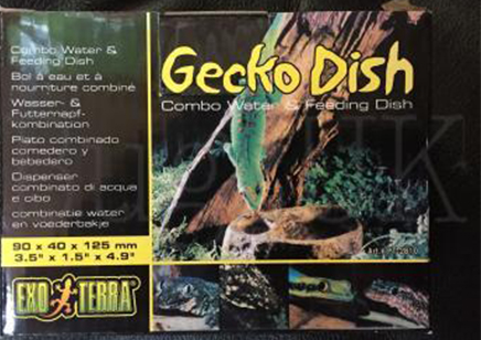 Gecko Dish 