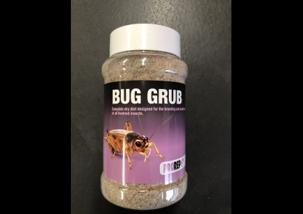 Bug Grub Livefood Food 300g