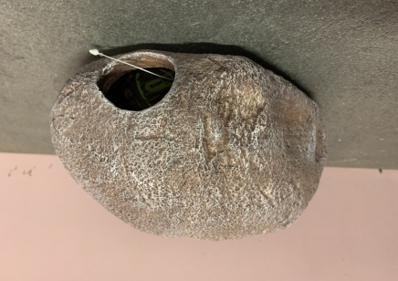 Komodo Boulder Hidey Hole ...1 left
