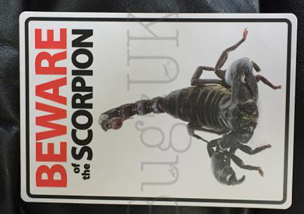 Beware Of The Scorpion