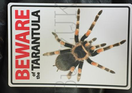 Beware Of The Tarantula...