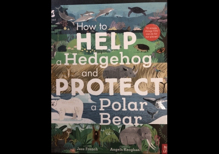 Children :How to Help A Hedgehog And Protect A Polar Bear