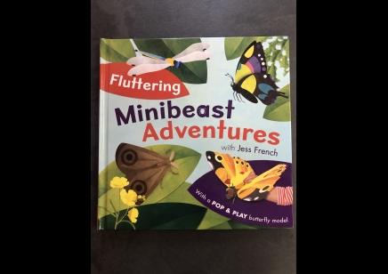Children: Butterfly : Fluttering Minibeast Adventures