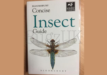 Insects : Bloomsbury Concise Insect Guide