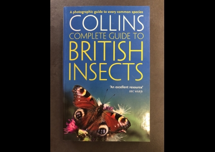 Insects : Collins Complete Guide British Insects