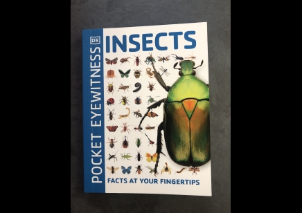 Insects : Dk Pocket Eyewitness Insects