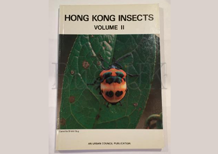 Insects : Hong Kong Insects 2