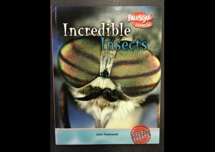 Children's Insects : Incredible Insects