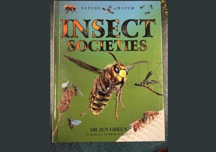 Insects : Insect Societies