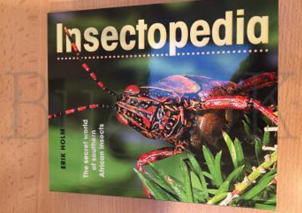 Insects : Insectopedia S African Insects- Erik Holm