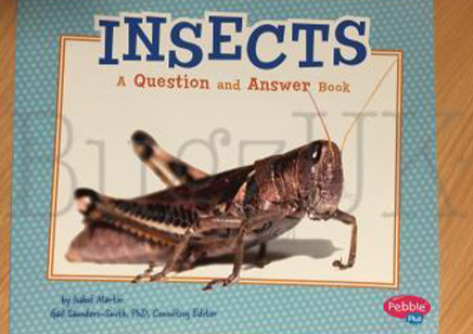 Children's: Insects : Insects A Question And Answer Book