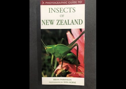 Insects : Insects Of New Zealand