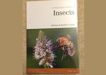 Insects : Naturalists Guide Insects Britain & Northern Europe