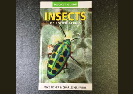 Insects : Pocket Guide To Insects Of South Africa