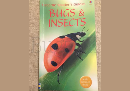 Insects : Usborne Bugs And Insects