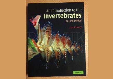 Books & Reading Material: Invertebrates : An Introduction To The ...
