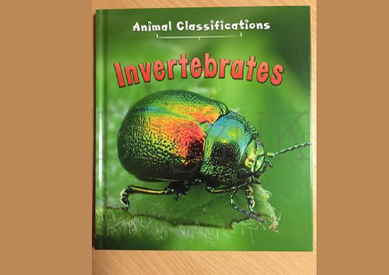 Invertebrates : Animal Classifications Invertebrates